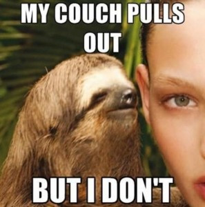 funny-dirty-sloth-pictures-lol-297x300.jpg