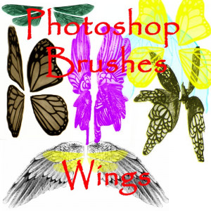 Resources And Stock Images
