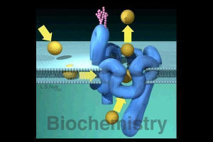 biochemistry quote 2