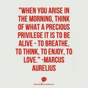 When you arise in the morning, think of what a precious privilege it ...