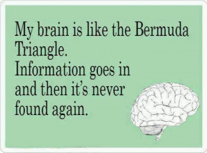 Funny ecards – My brain is like the bermuda triangle