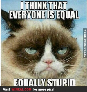 Grumpy Cat Sayings Cute...