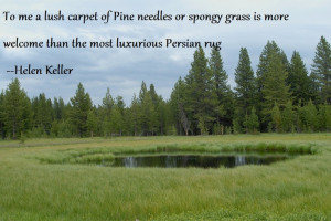 great quote... picture of yellowstone NP