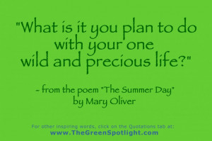 Line from a Mary Oliver poem, as a graphic