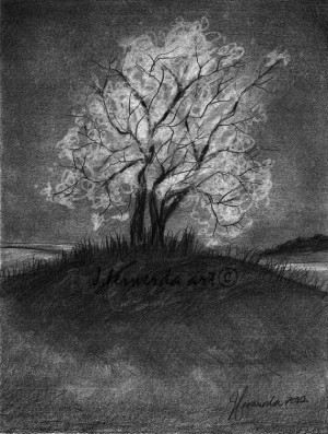Pencil Drawing Print - Advice From A Tree - Day 179