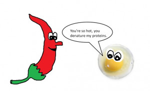 You're so hot, you denature my proteins and other nerdy pick up lines