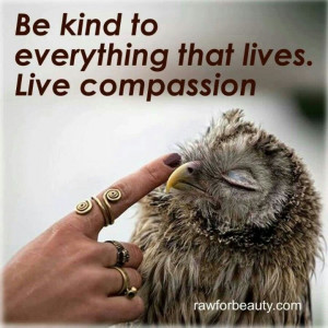 May you cultivate a boundless of love and kindness & reach out to ...