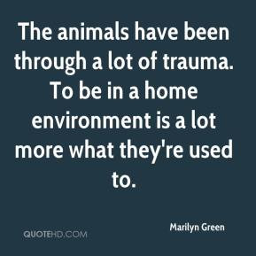 The animals have been through a lot of trauma. To be in a home ...