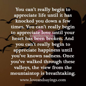 You Can’t Really Begin To Appreciate Happiness