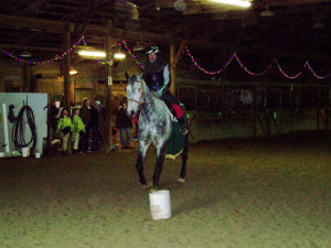 Jesse. 3/4 Cleveland Bay, 1/8 Percheron and 1/8 Thorougbred.