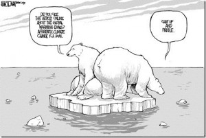 climate-change-bears