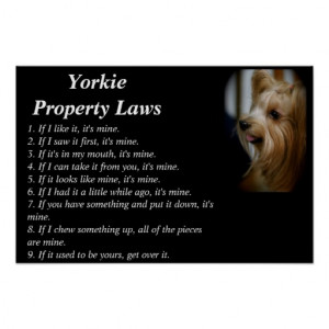 home images yorkie poster yorkie poster facebook twitter google+ ...