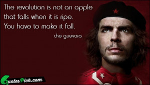 Che Guevara Quotes