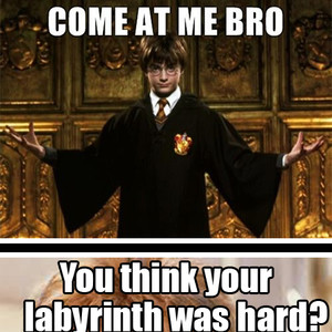 Labyrinth Vs. Harry Potter Lols