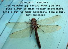 Dragonfly Quotes