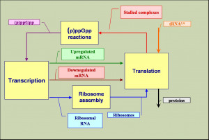 Stringent Quality Control - Sumitomo Mitsui Asset Management