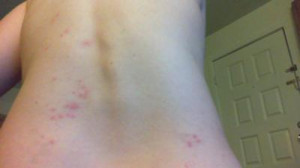 Funny Quotes Contact Dmca...