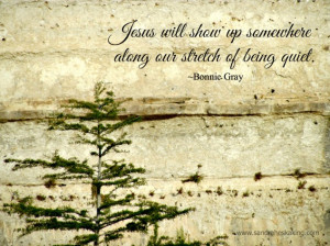 canyon wall across the Frio River at Laity Lodge)