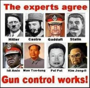 gun control