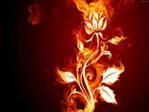 Fire Flower Abstract Hd Wallpaper