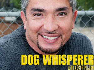 Dog Whisperer Episode Archive Season List