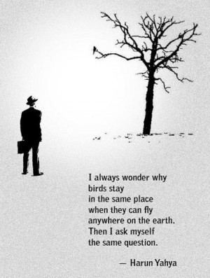 Return to Amazing Quotes (30 Pics)