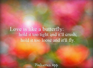 is like a butterfly hold it too tight and it ll crush hold it too ...