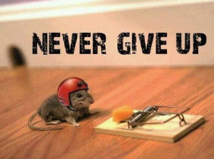 Motivation: Never Give Up Keep Trying