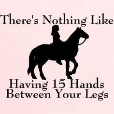 ... 16 or even 17 for me more funny horse jokes horses lovers horses humor