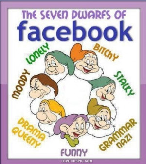 seven dwarfs of facebook