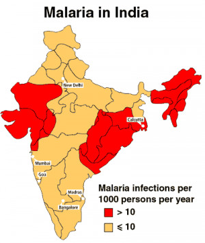 It is important with the right travel immunisations for India.