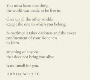 ... doesn't bring you alive is too small for you. - David Whyte #quote