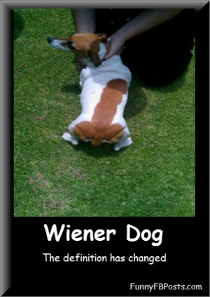 Funny Weiner Dog
