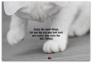 Enjoy the Small Things...