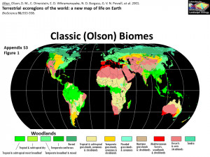 Back Gallery For Biomes The...