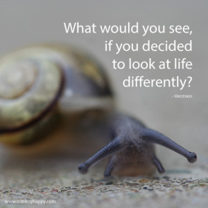 Snail Quotes