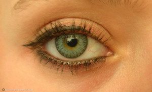 Freshlook Colorblends...