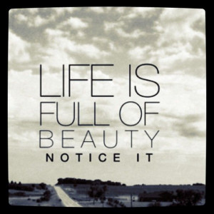 Notice the beauty around you