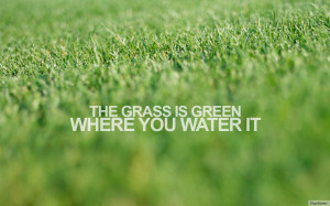 quotivee_1280x800_the grass is green where you water it