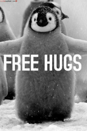 cute baby penguin.Free Hug, Quote, Penguins Hug, Freehug, Adorable ...