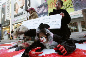Peta Protest Against Fur The Use
