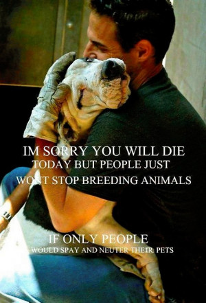 ... sorry you will die today, but people just wont stop breeding animals