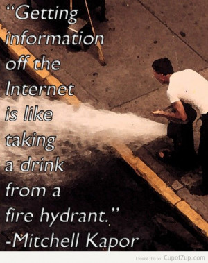quote of the day getting information off the internet is like taking a ...