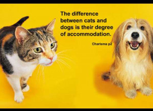 Your email address will not be published. Required fields are marked *