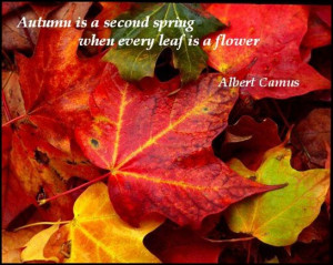 Autumn Is A Second Spring When Every Leaf Is A Flower…