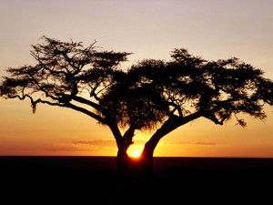 Fuentes de Información - El Continente Africano, hermosas imágenes