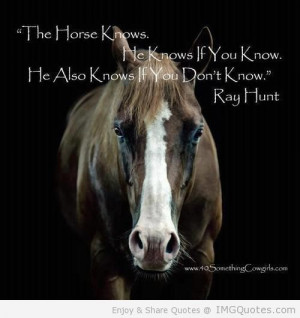 Meaningful Horse Quotes (6)