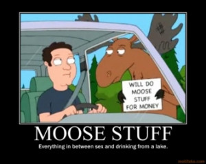 TAGS: demotivational moose family guy