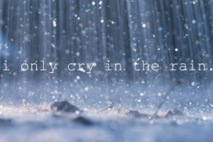 cry, rain, sad, sorry, summer, text