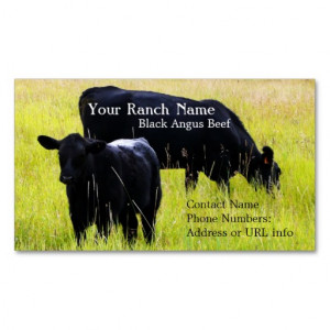 Black Angus Cattle Grazing in Field Business Card Templates from ...